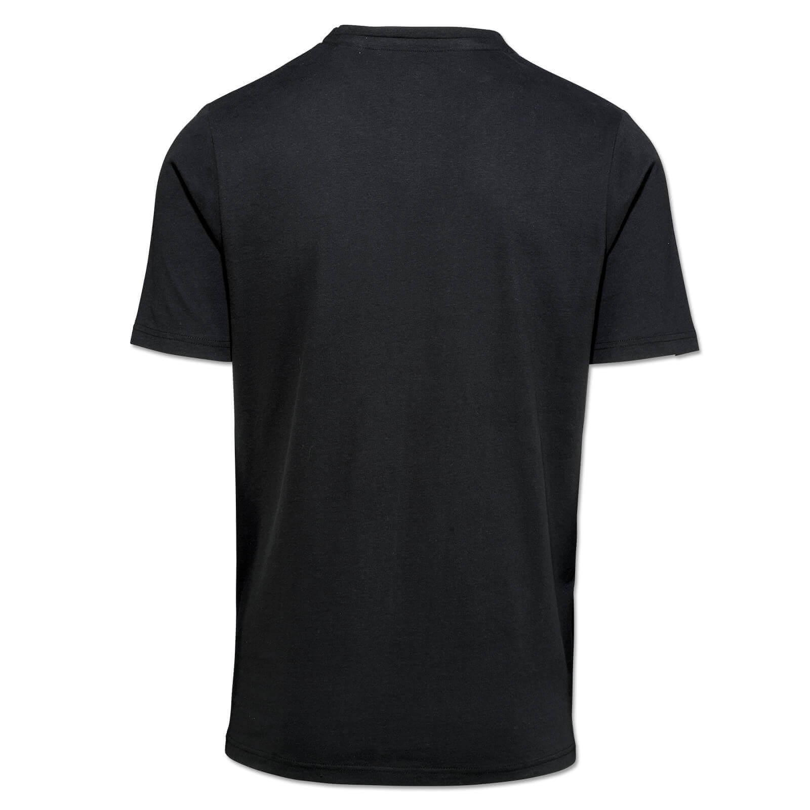 Borussia Dortmund T-Shirt "1909%" - grey